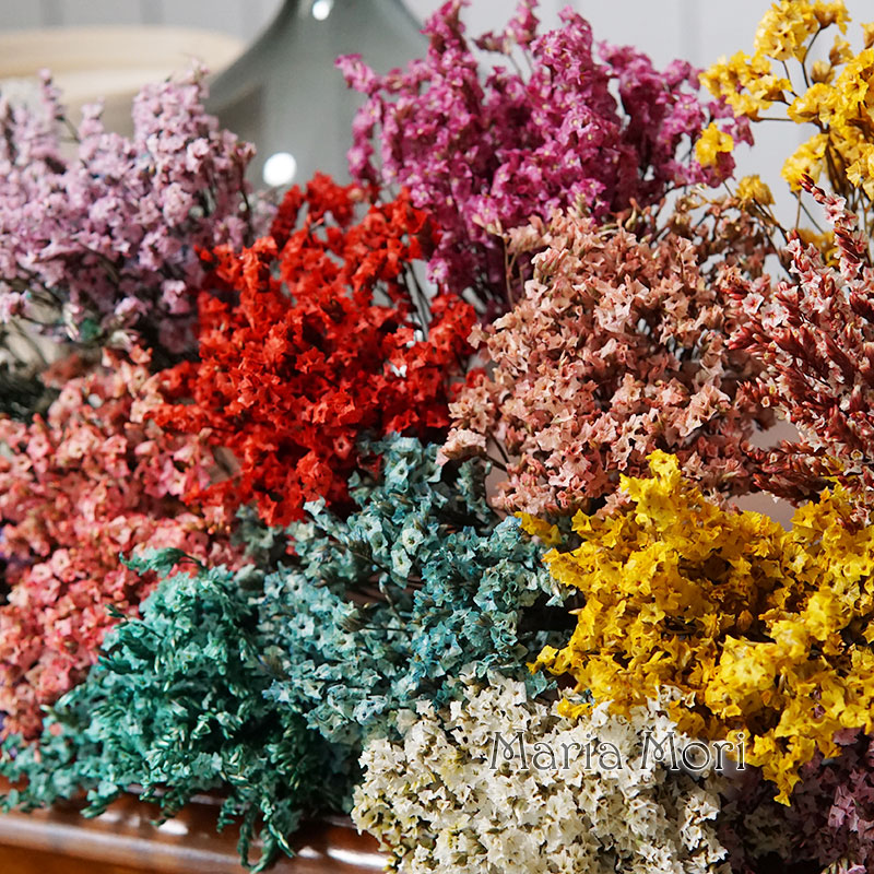 5g/ Colorful Dired Preserved C - Candle Making Uk recensie en prijs