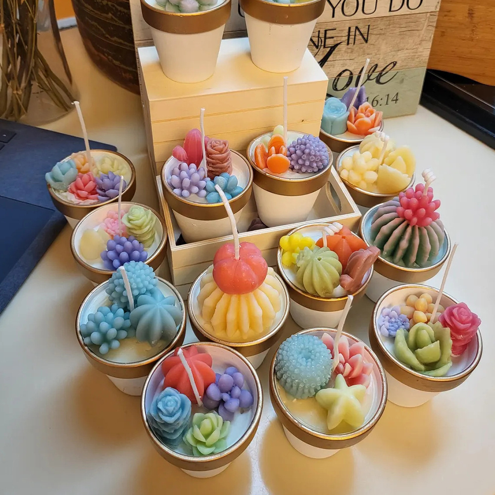 6pcs Succulent Silicone Candle - Candle Making Reno recensie en prijs